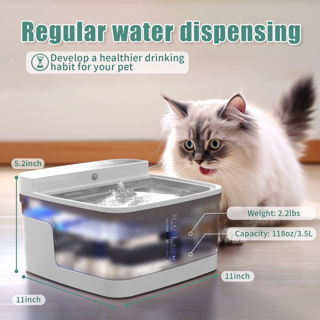 Quiet Flow Pet Water Fountain with Visible Water Level